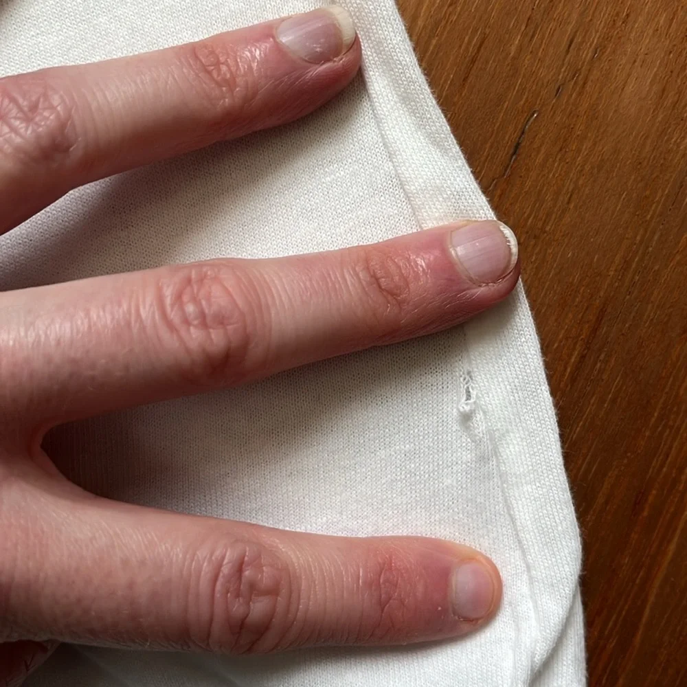 NWOT Y2K Abercrombie Moose Logo Tee Shirt - Picture 4 of 6